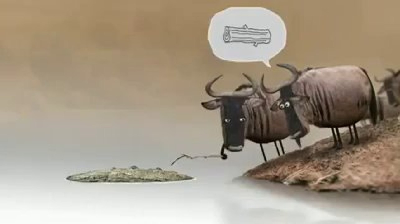 point of view