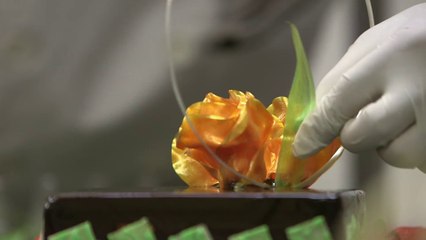 Equipe du Vietnam : Un gâteau vietnamien