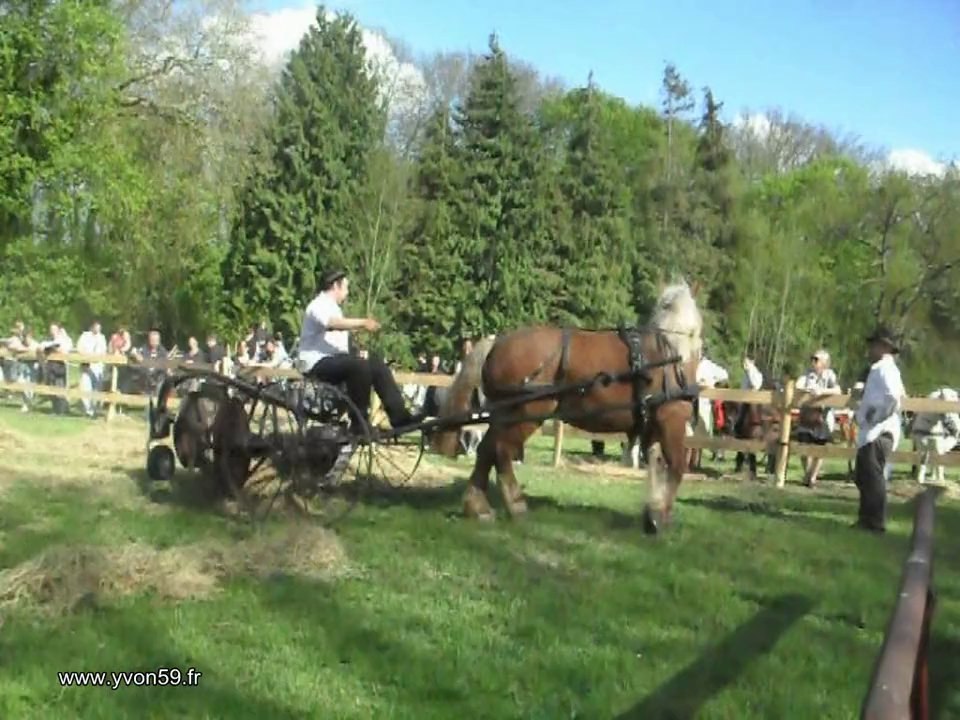 03 Féte de l'attelage 2010 Christine
