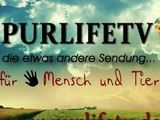 PurlifeTV - vom 14.02.2014 - Morgensendung aus Aachen für Aachen und Umgebung