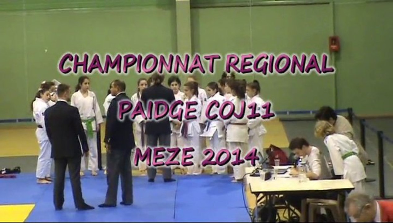 CHAMPIONNAT Régional PAIDGE 2014 MEZE