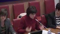 Audition de Marie-Arlette Carlotti à la commission des Affaires sociales de l'Assemblée nationale