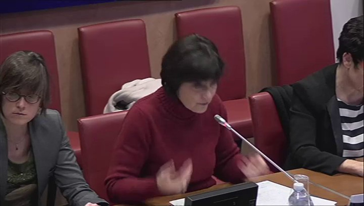 Audition de Marie-Arlette Carlotti à la commission des Affaires sociales de l'Assemblée nationale