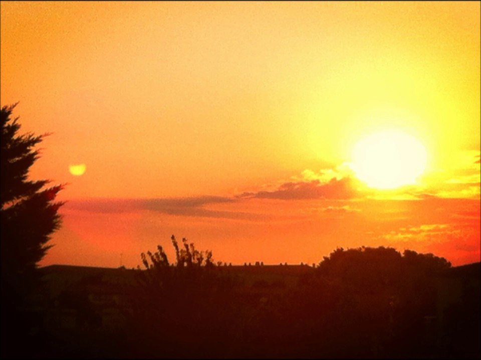 Les P'tits papiers - Régine cover