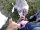 Miniature DailyMotion