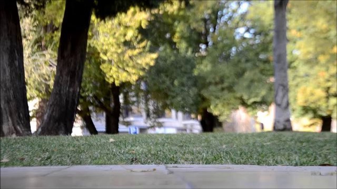 Allò que a tu et sobra...