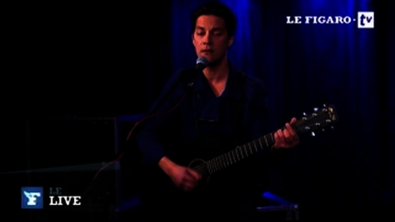 Ludeal - Chevaux sauvages