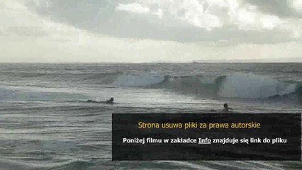 instrukcja bosch kgn