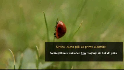 poradnik do league of legends master yi
