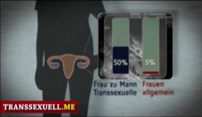 Wie entsteht Transsexualitaet?