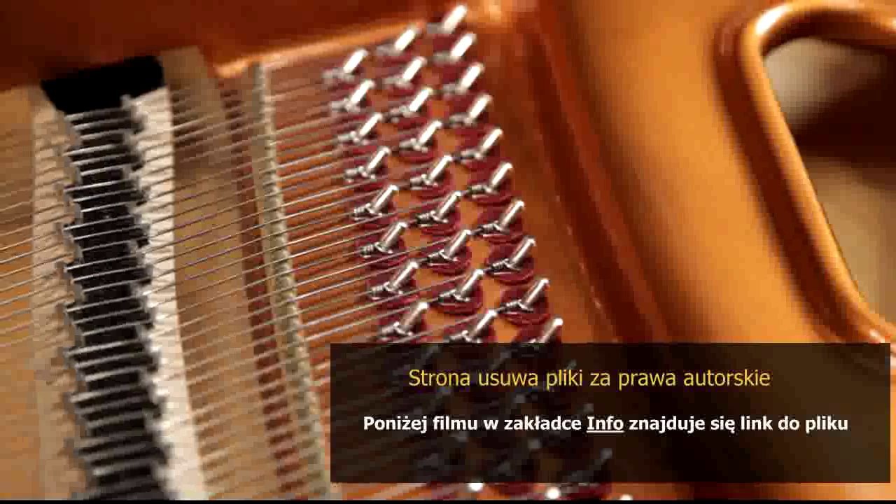 instrukcja laguna ii pl