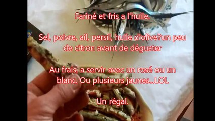 Antomicou Pèche de l'orphie au broumé et recette orphie a la Provencale par Marco