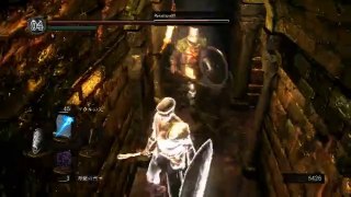 [20140214]03時24分【PS3】ダークソウルDARKSOULS初回プレイ