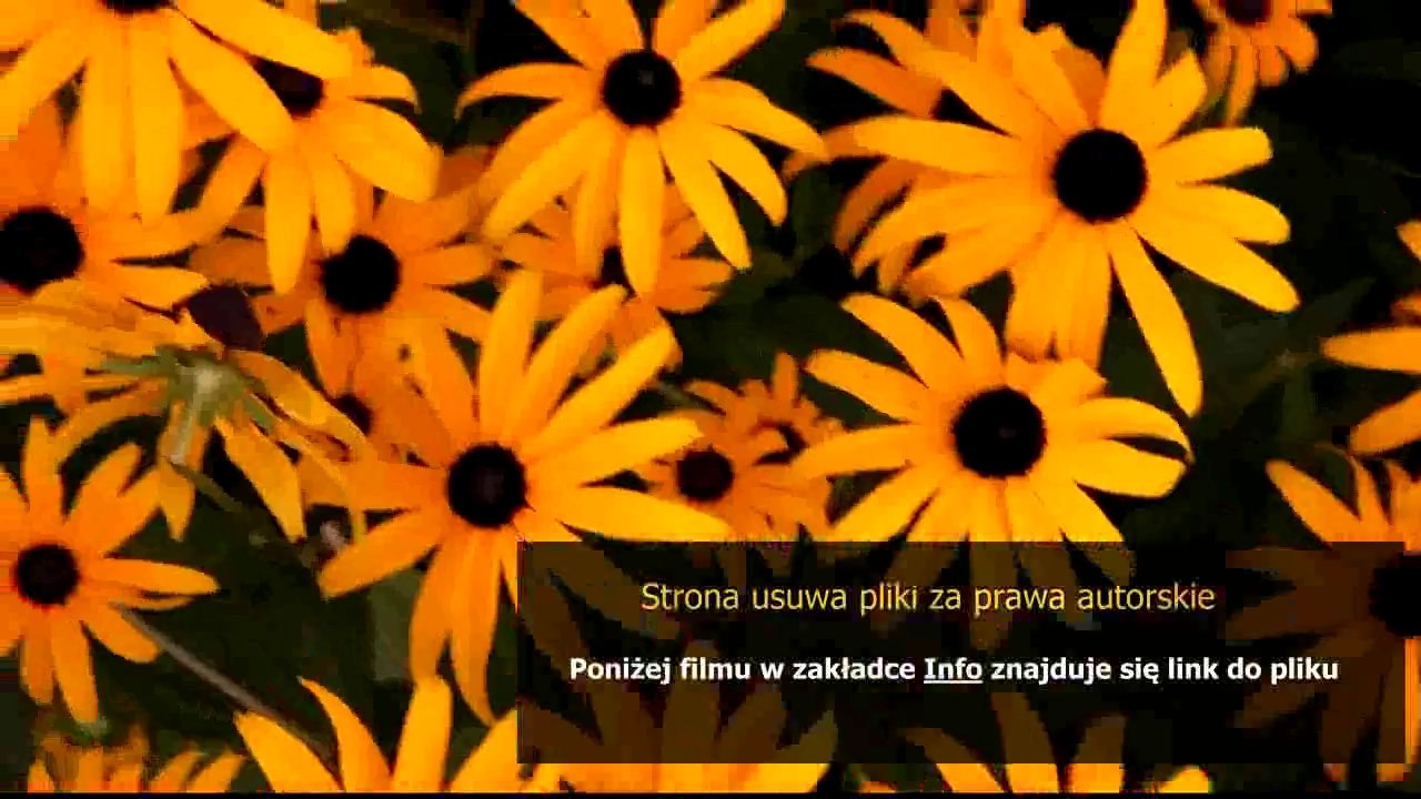 philips avent manual breast pump with milk storage cups