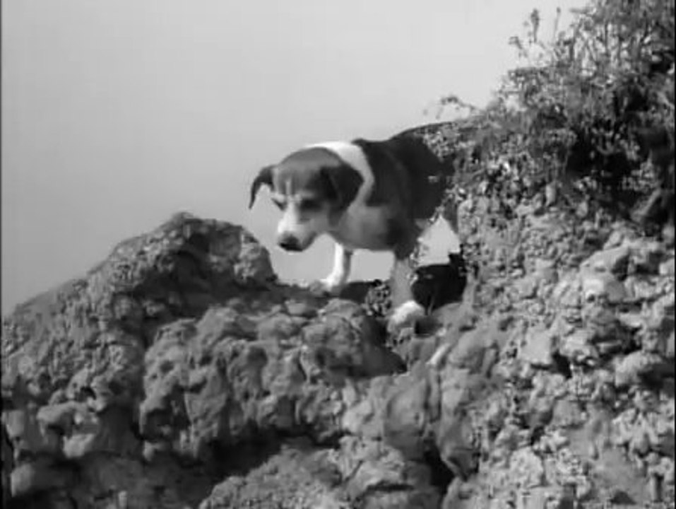 Perdidos no Espaço - 1ª Temporada - 13. O cão desaparecido