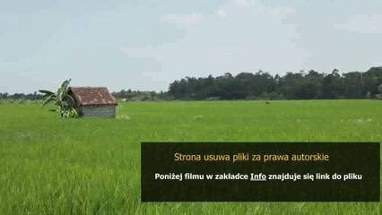 Descargar video: poradnik dla poczatkujacych ewa farna