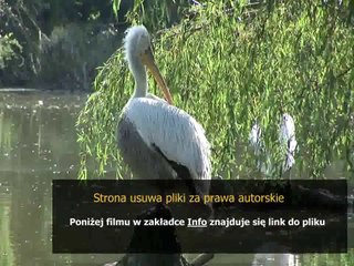 manual samsung xcover s5690