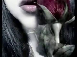 Melihat Gülses   Erken ağardı saçlar Yılların günahı ne