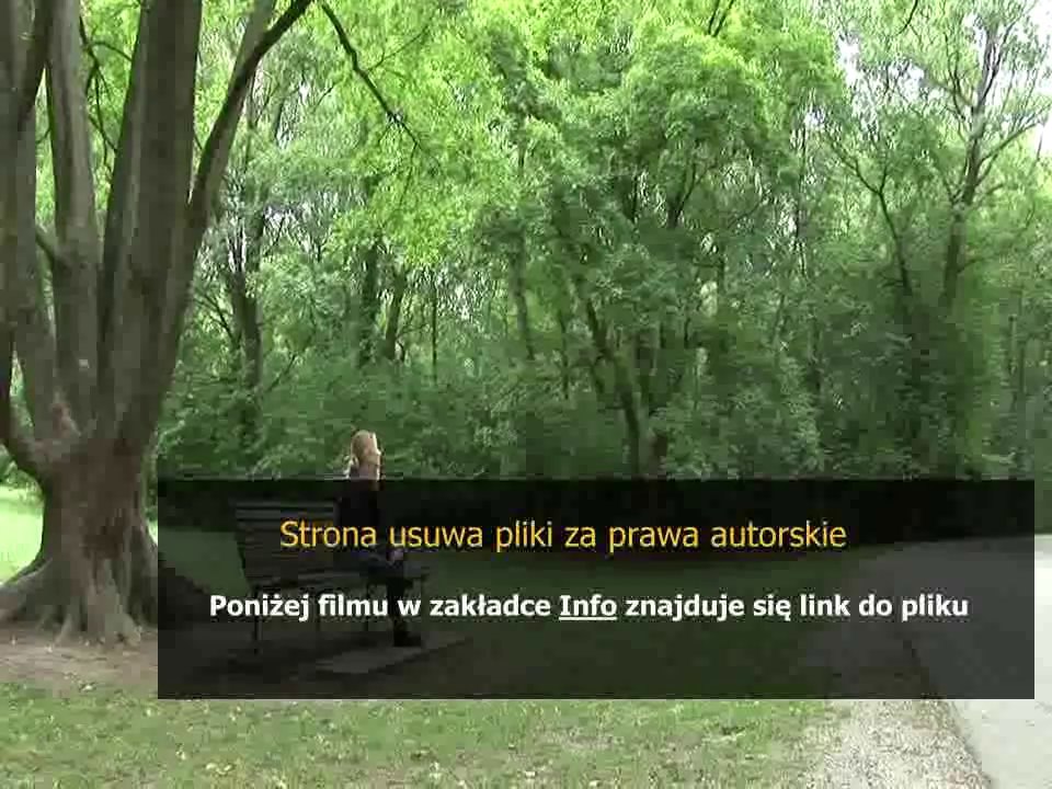 poradnik 4story lucznik