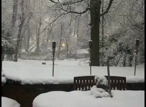 Snowlapse : La neige tombe en time-lapse