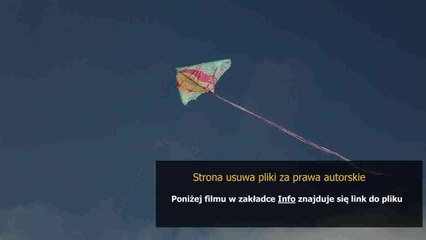 sony lbt n255 service manual