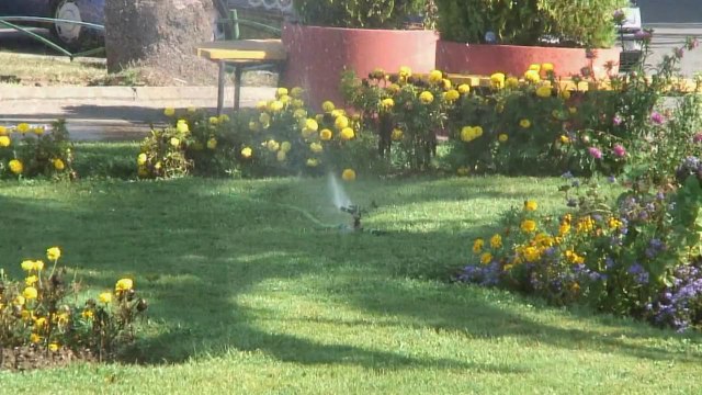 Добро пожаловать в Hotel Magnolia Tivat (Отель Магнолия Тиват)!