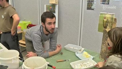 Loisirs : Bilan 2013 de la Cicadelle (Vendée)