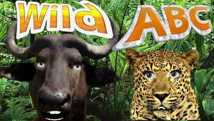 ABC Song, Phonics,  English, Children, Nursery Rhymes, Alphabet for Babies