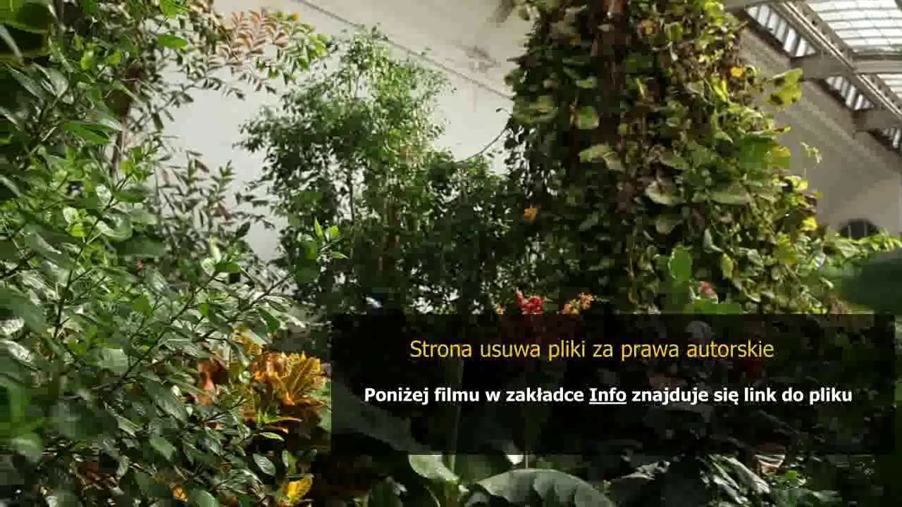 instrukcja obslugi radia samochodowego philips car 400