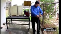 Avilés Exterminating Services / Exterminadores Mayagüez