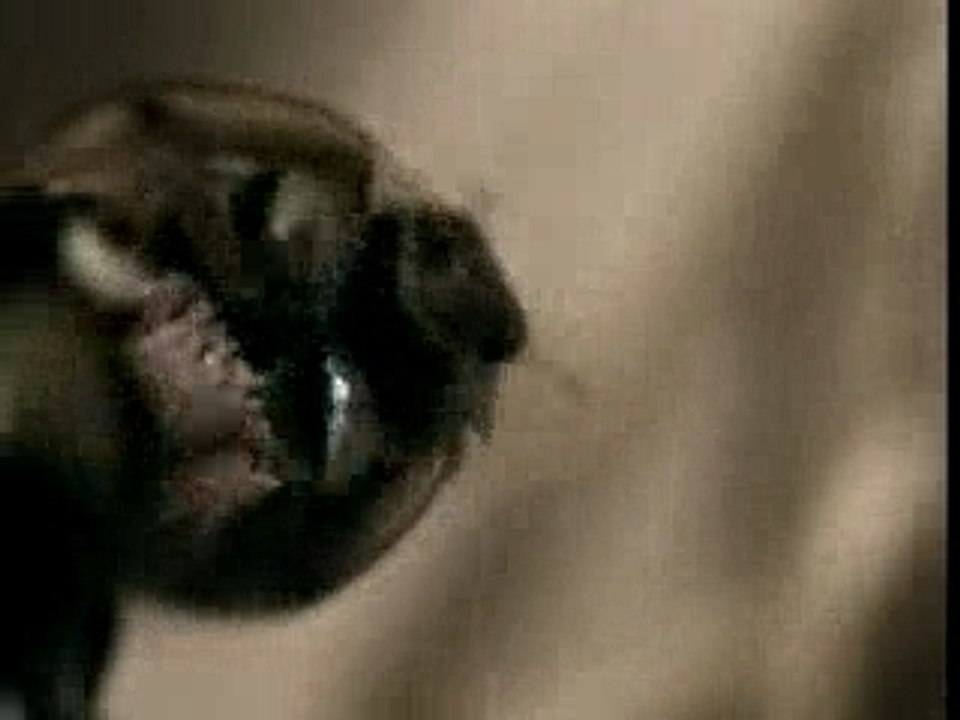 Desert | Emilie Simon