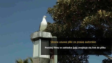 lol solomid kog maw guide