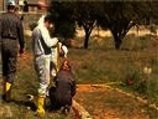 ملف المفقودين الليبيين خلال ثورة فبراير