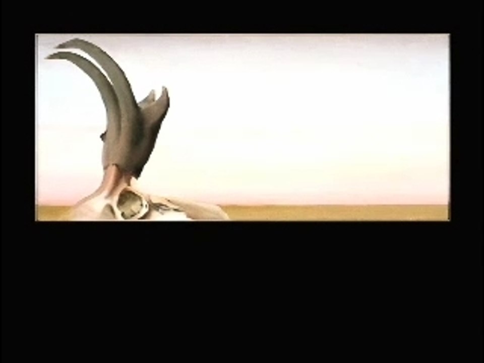 Georgia O'Keefe: Notable New Mexican