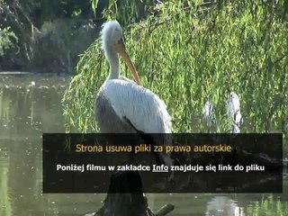 instrukcja kancelaryjna dla organow powiatu