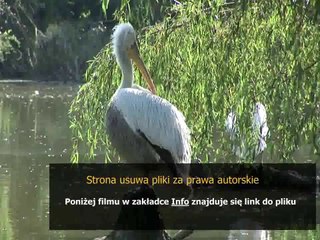 samsung fridge freezer manual da99