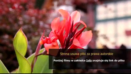 instrukcja obslugi auraton 2005