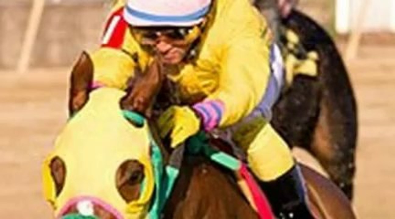 2011 Eclipse Award Winners