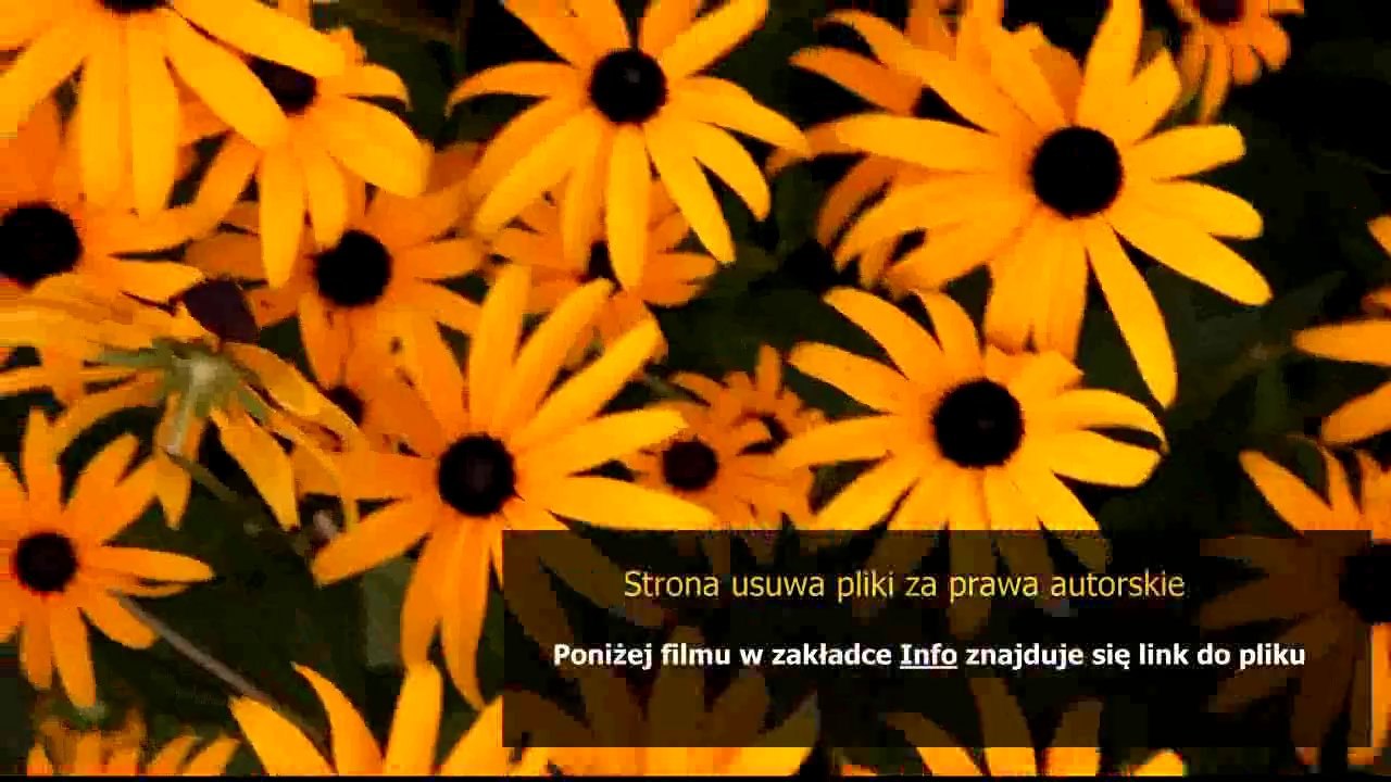 parfemy cz kupon