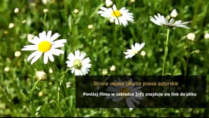 instrukcja obslugi dvd lg