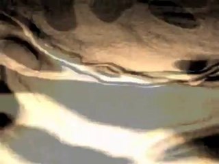 zERO pROJECT...vALLEY oF tEARS