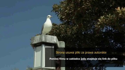 manual instruction samsung galaxy mini