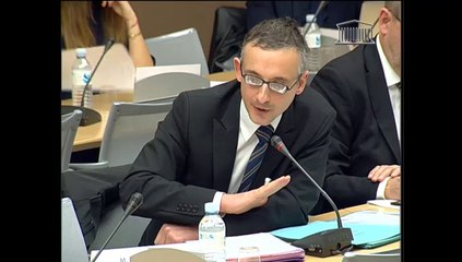 Audition de M. Etienne Dutheil (EDF) - Jeudi 13 Février 2014