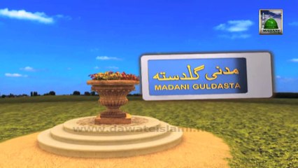 Useful Information 572 - Nematon Ki Qadar - Haji Ameen Attari