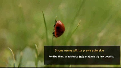 kupony do drakensang online chomikuj