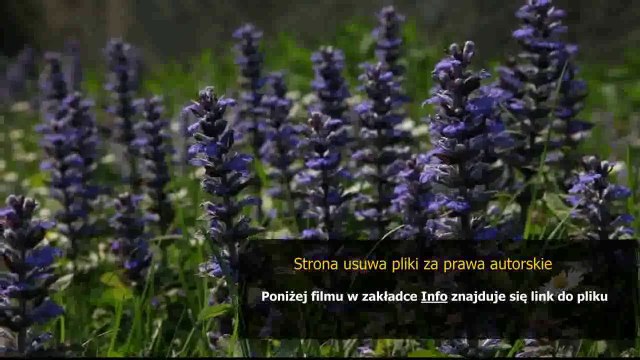 philips saeco instrukcja obslugi