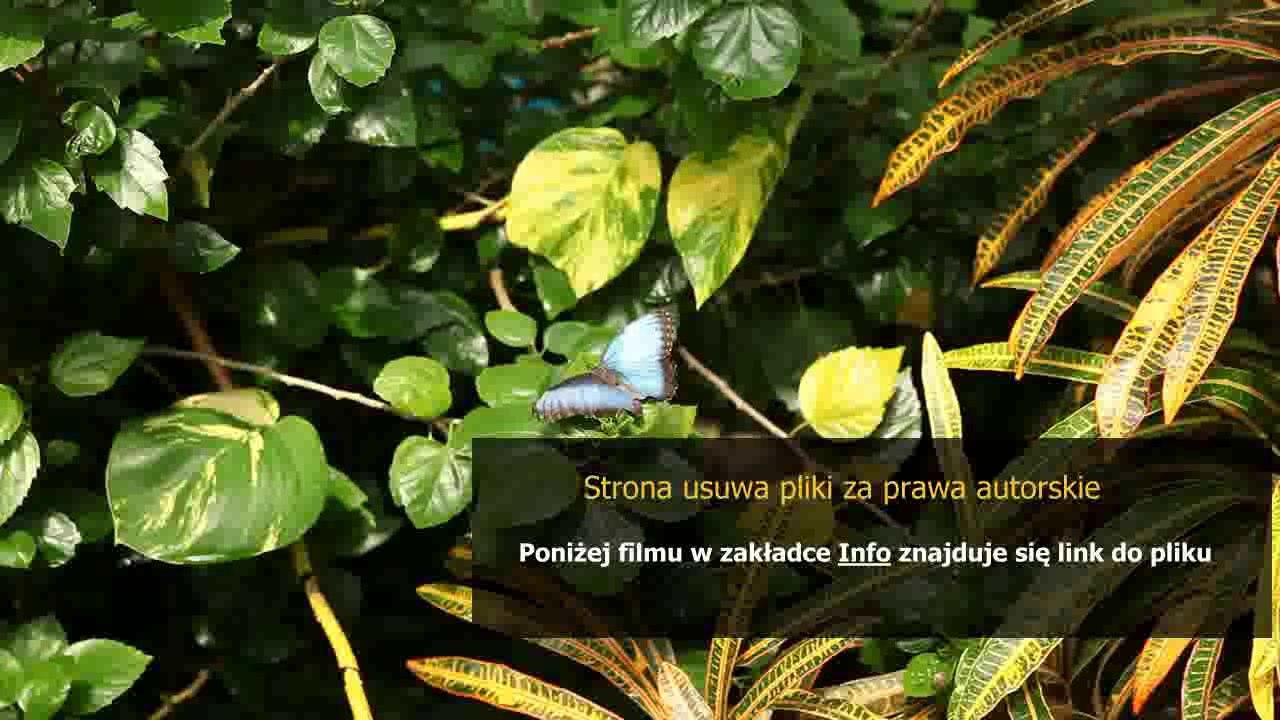 instrukcja pralki polar pdt 585