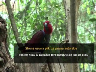 bosch kiv34x20 instrukcja