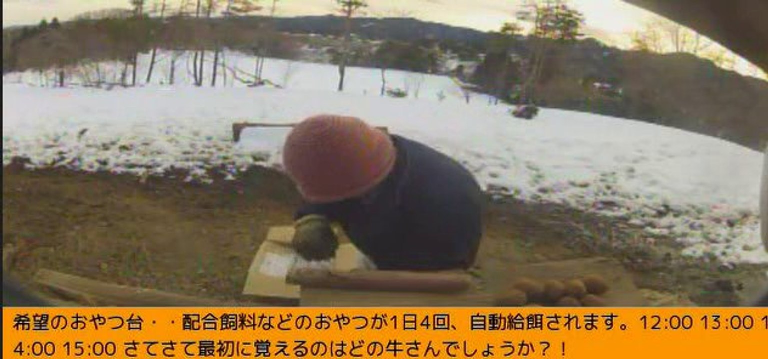 2014-02-13 15-10　牧場3号機　女性ボラさん　キウイ