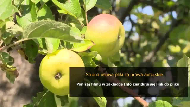 instrukcja obslugi pralki amica comfort plus 800